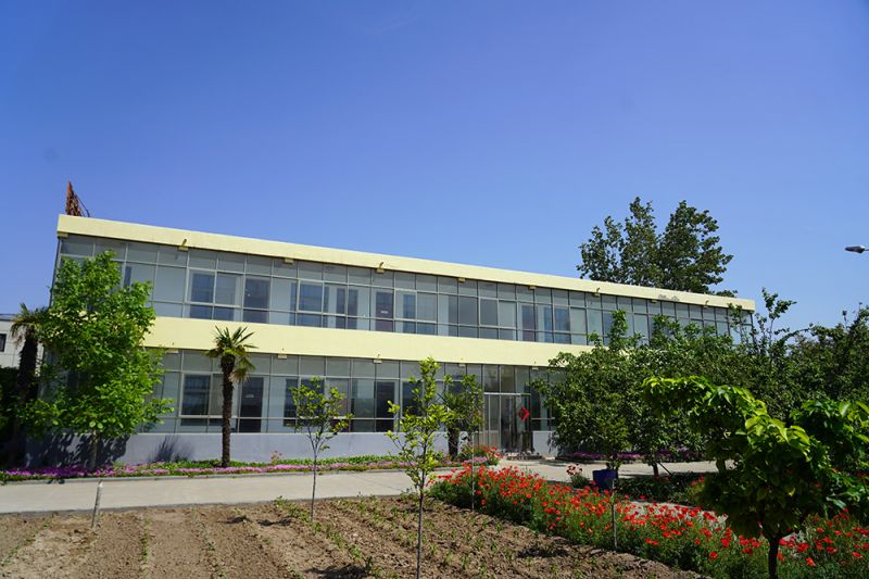 企業(yè)實(shí)力